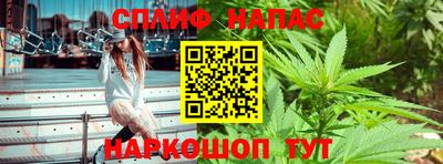 индика Кинель
