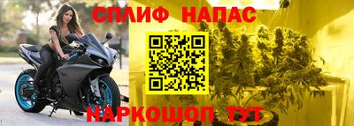 каннабис Кингисепп