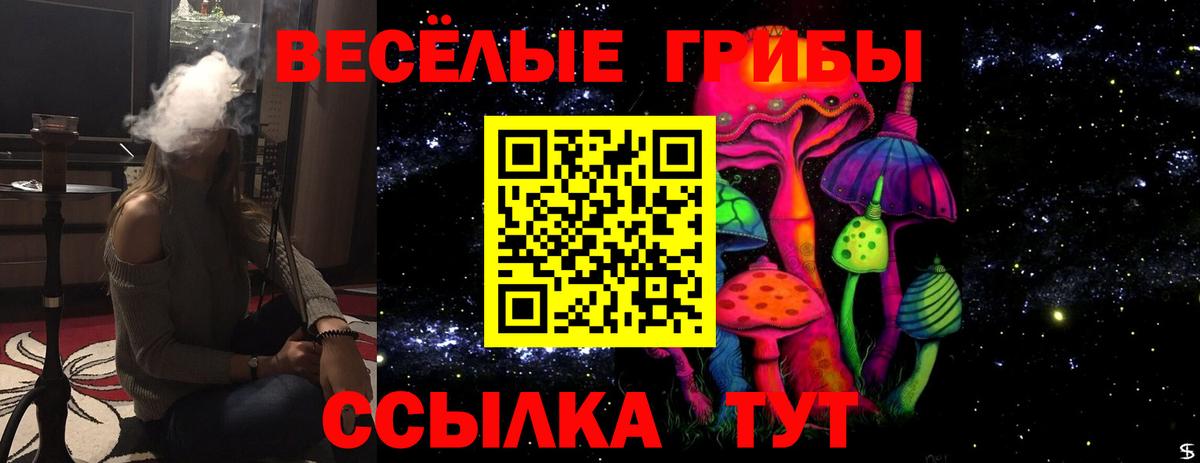 Галлюциногенные грибы MAGIC MUSHROOMS  Псилоцибиновые грибы MAGIC MUSHROOMS  Вход с VPN  Невинномысск 